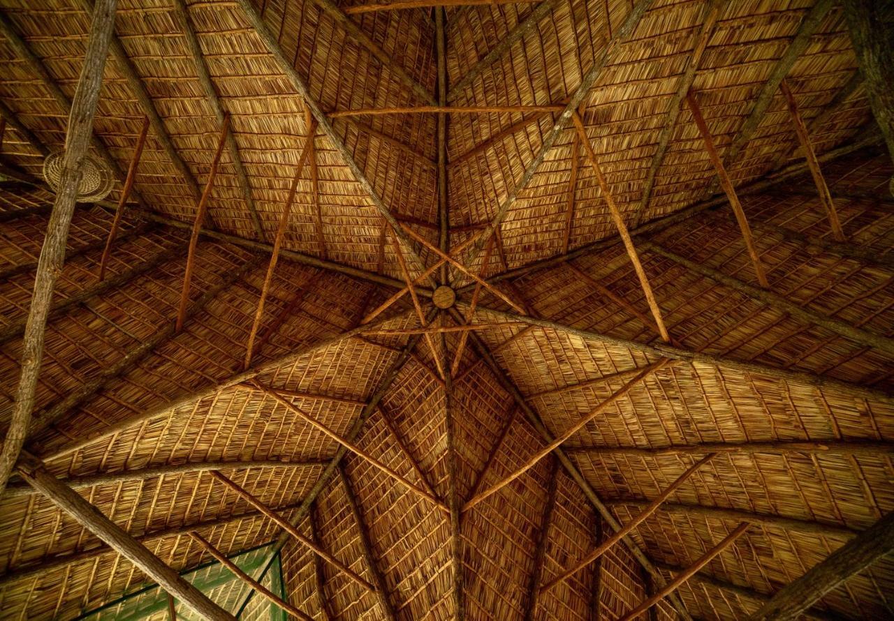 Turtle Cove Lodge And Yoga Shala Praia do Praia do Tofo Zewnętrze zdjęcie