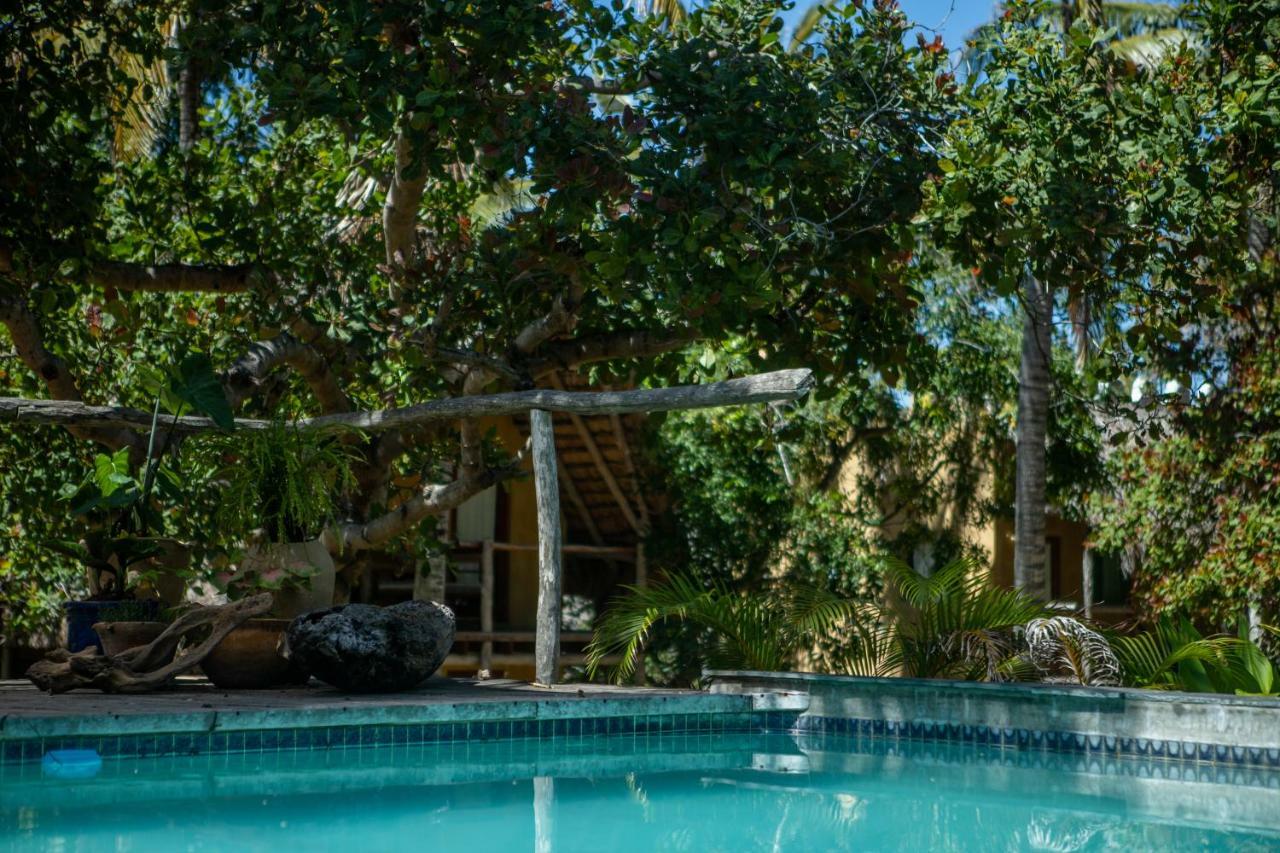 Turtle Cove Lodge And Yoga Shala Praia do Praia do Tofo Zewnętrze zdjęcie