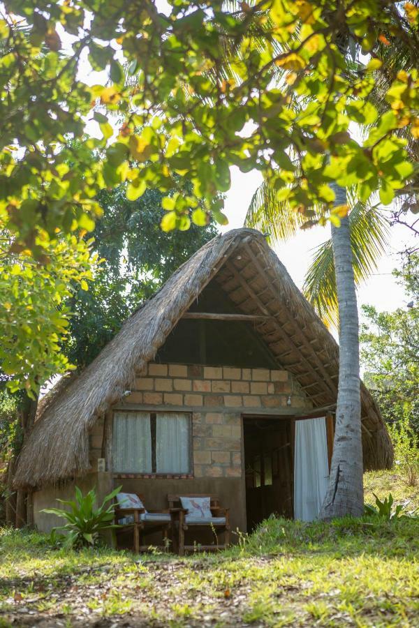 Turtle Cove Lodge And Yoga Shala Praia do Praia do Tofo Zewnętrze zdjęcie